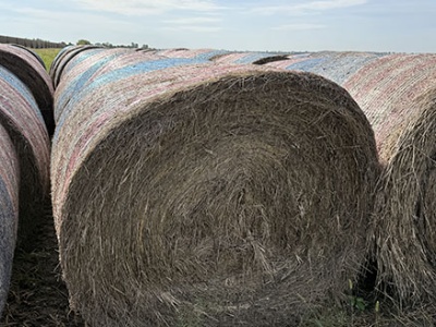 (10 X $) Mixed Grass Net Wrapped Hay