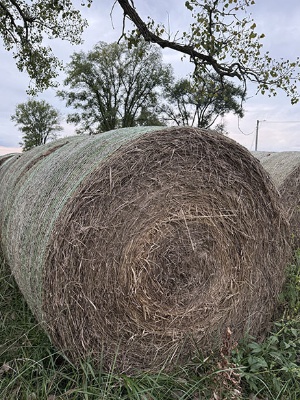 (10 X $) Mixed Grass Net Wrapped Hay