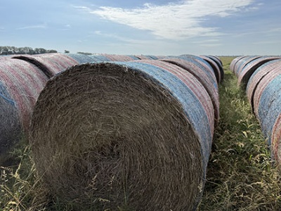 (10 X $) Mixed Grass Net Wrapped Hay