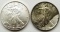 1991 & 2005 .999 SILVER EAGLES U.S. $1 COINS