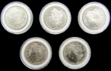 5-BU MORGAN DOLLARS;