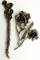 2-ANTIQUE STERLING FLOWER BROOCHES