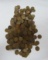 LOT OF 350 WHEAT PENNIES 1920-1929 P/D/S MINT