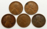 5 LINCOLN WHEAT CENTS BETTER DATES