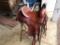 Custom Made by Mike Shultz Roping Saddle