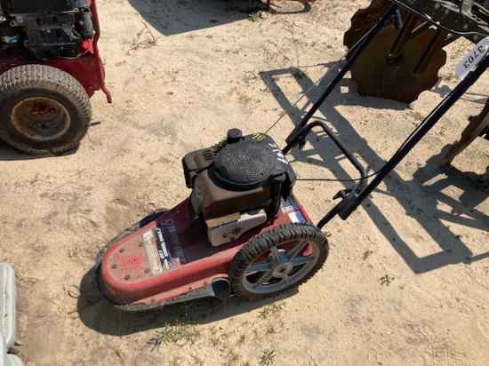 Troy Built Push Weed Eater