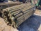 Bundle Of 100 Apx. 3