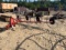 3pt. 4 Wheel Hay Rake