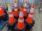 Apx. (50) Traffic Safety Cones