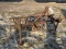 3pt. Cultivator w/ Planter