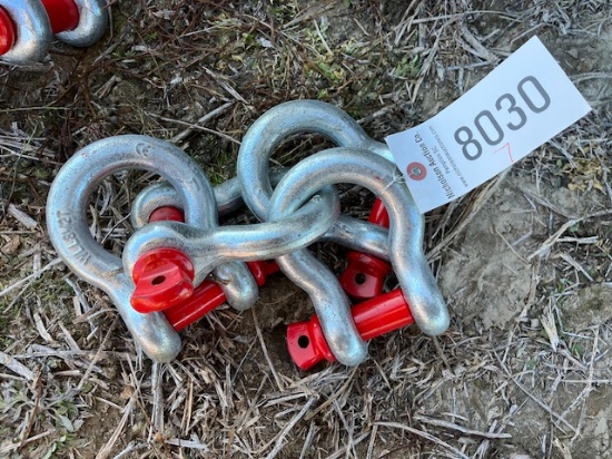 Bundle Of 1in Shackles