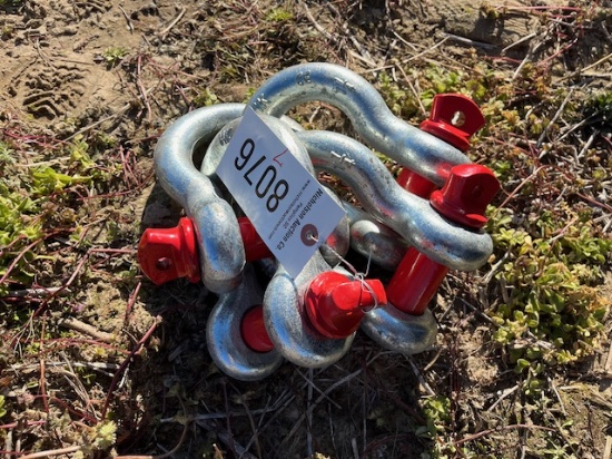Bundle Of 1 1/4 Shackles