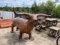 Large Metal Bull Grill