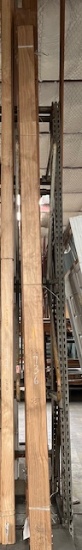 Misc. Pine Crown Apx. 5 1/4in