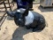 Pig Lawn Decor