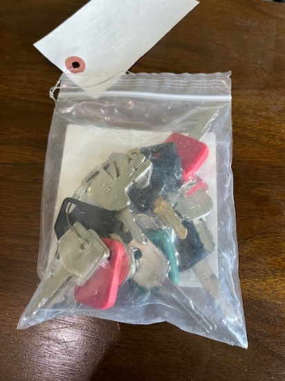 Set Of 24 Equipment Keys