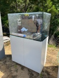 Fish Aquarium