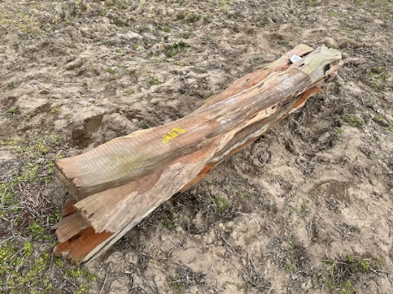 Bundle Of Live Edge Lumber