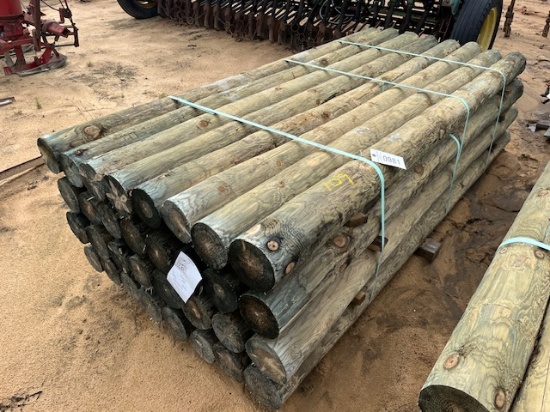 (1) Bundle Of (32) Apx 5inx8ft Treated Post
