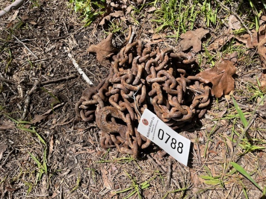 (1) Chain
