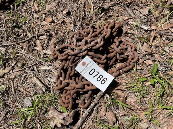 (1) Chain
