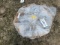 (2) Large Tooth Gears