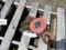 2 Ton Chain Hoist