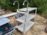 Ladder Shelf