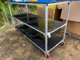 Shelf On Casters