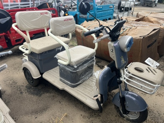 MGC40 Mini Golf Cart Gray