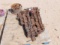 PALLET OF ASSORTED TONG & SLIP DIES (6506)
