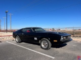 1973 FORD MUSTANG FASTBACK