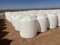 (10) UNUSED AXIS MOLDINGS 300-GAL VERTICAL POLY TANKS