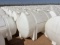 (12) UNUSED AXIS MOLDINGS 520 GALLON HORIZONTAL POLY TANKS