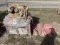 (1) CRATE & (1) PALLET OF ASSORTED LIFT STRAPS & SLINGS