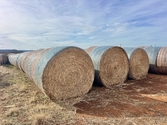(10) 2025 BALED 5x5 HAYGRAZER / SORGHUM GRASS MIX ROUND BALES