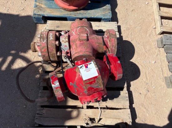 (1) 4 & (1) 3 flanged check valves