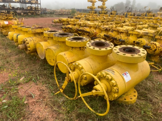 (10x$) 7-1/16 10k Manual Gate Valves