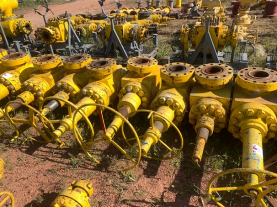 (7x$) 7-1/16 10k Gate Valves