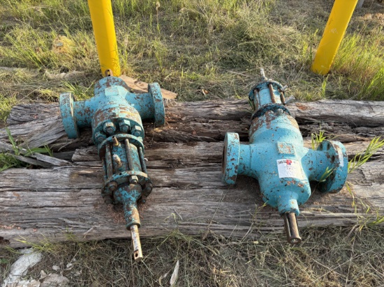 (2) 4-1/16 10k hydraulic gate valves, (10) 2-9/16 gate valves, & (3) single stud adapters