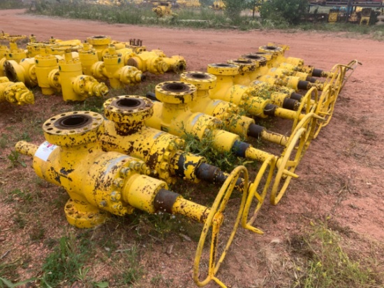 (10x$) 4-1/16 10k Manual Gate Valves