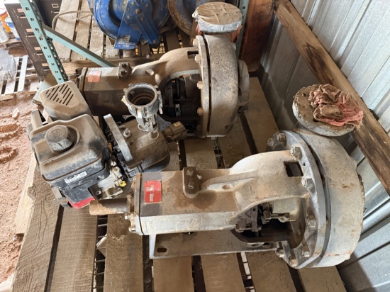 (2) DOUBLE LIFE 4x3x13 CENTRIFUGAL PUMPS & (1) GAS POWERED 2-1/2 TRASH PUMP
