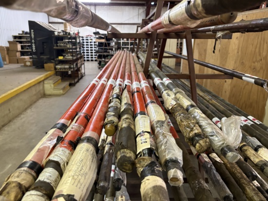 NEW HF 2 x 1-1/2 x 10, 30WD FLEX, CS TRIM ROD, DOWNHOLE PUMP