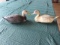 Dayton Feather-Lite Mallard Drake & Hen