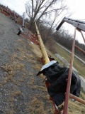 Mayrath Swing away Auger