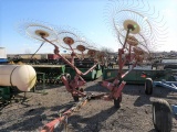 Sitrex 10 Wheel Rake