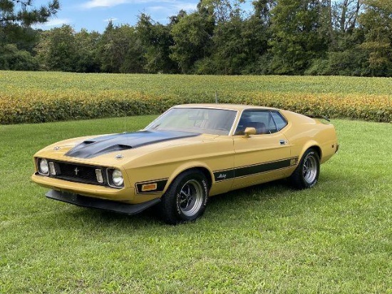 1973 Ford Mustang Mach 1, Vin 3F05H136420