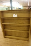 Double Sided Book Shelves