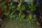 Lot of 8 Asst. USED Drill Bits. -GREEN PAINT.