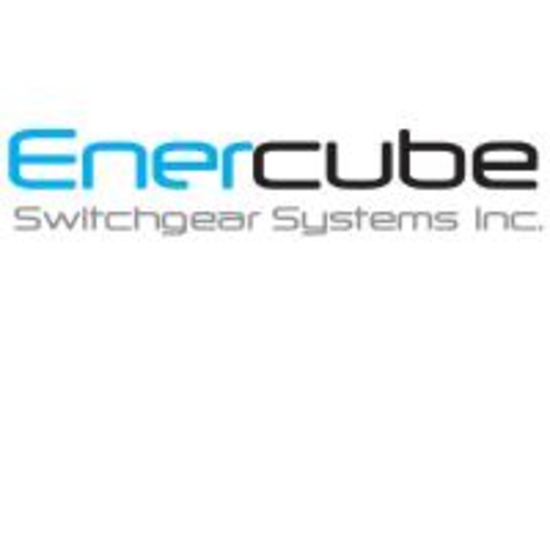 Enercube Switch Gear Systems Bankruptcy Auction
